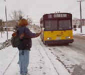 Picture of someone signaling to board a bus